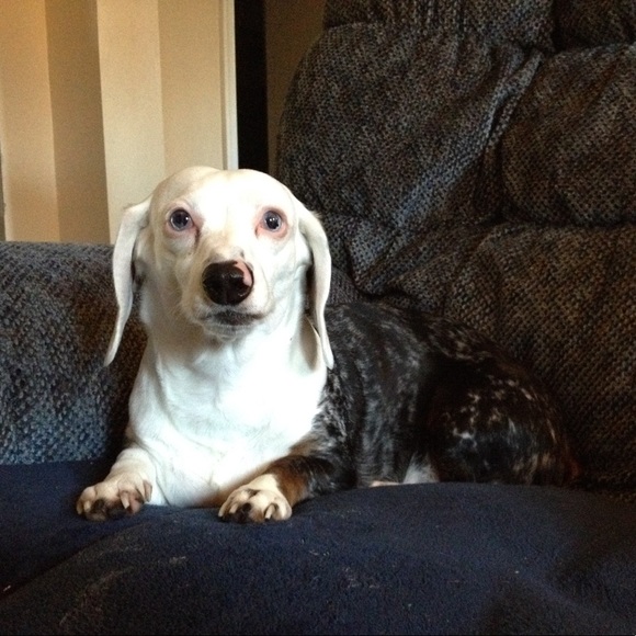 ⚠️ CAUTION! ⚠️ - Picture 7 of 7